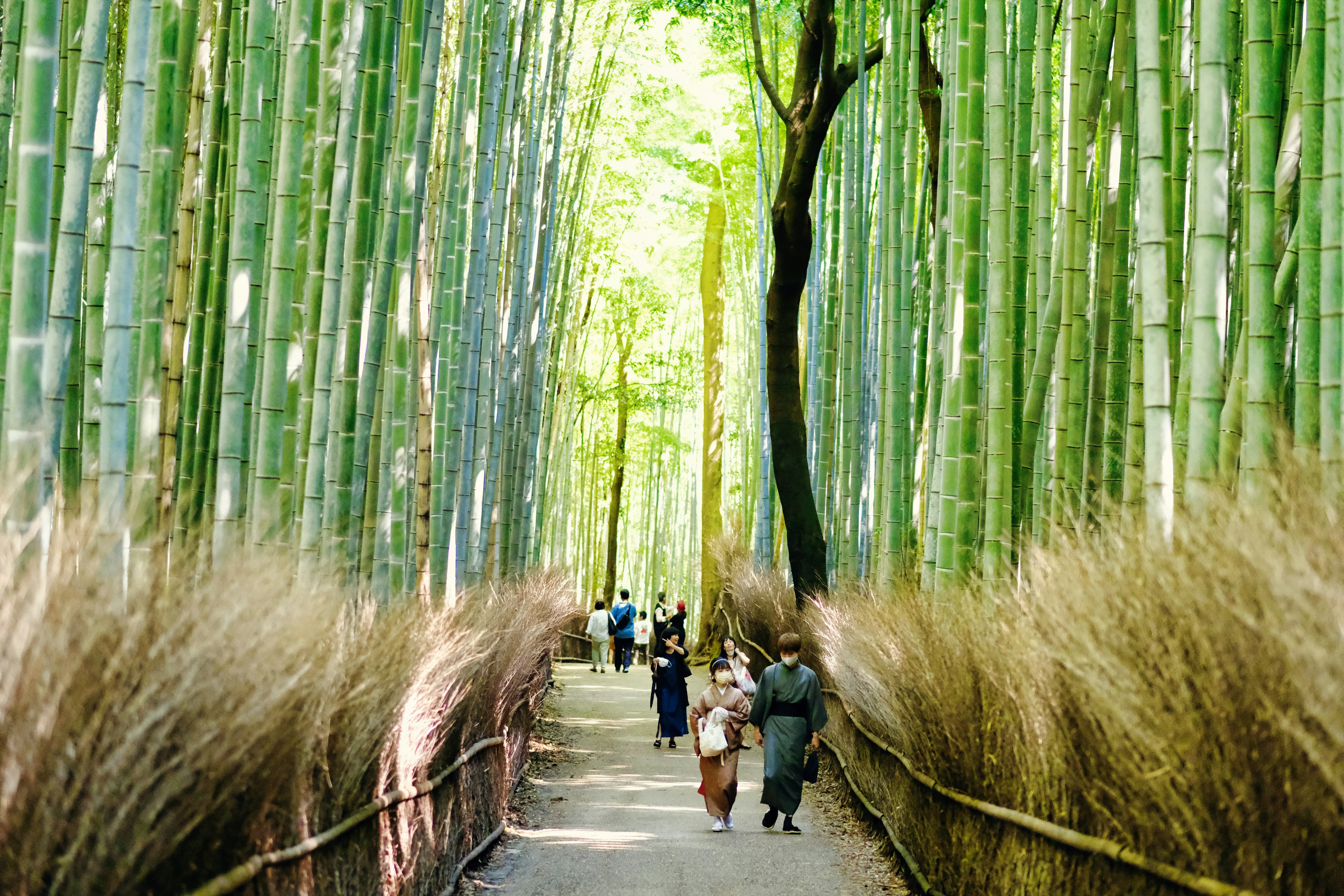 Arashiyama