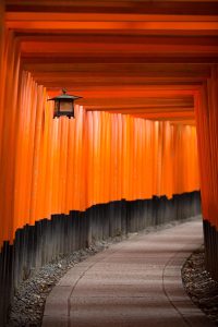 architecture, art, color, colour, decoration, design, gate, kyoto, lamp, light, outdoors, pathway, pattern, shrine, temple, texture, travel, brown lamp, kyoto, kyoto, kyoto, kyoto, kyoto